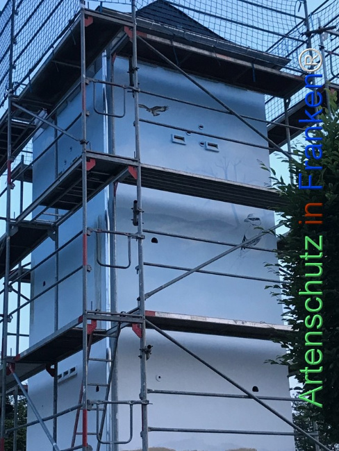 © Artenschutz in Franken® Bild zum Eintrag (1122959-160)