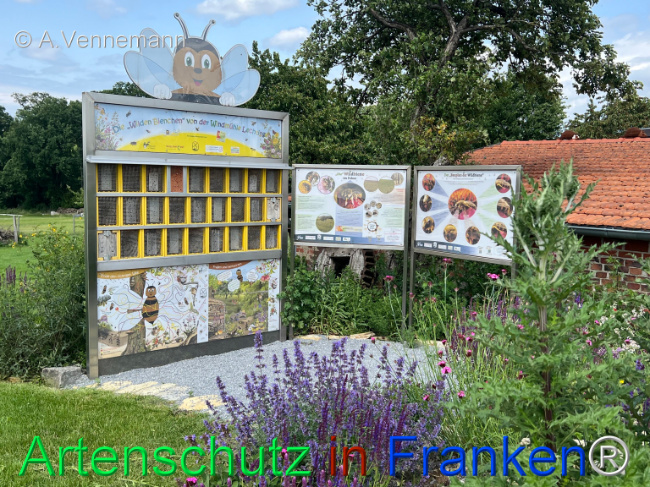 Bild zum Eintrag (1123413-160)