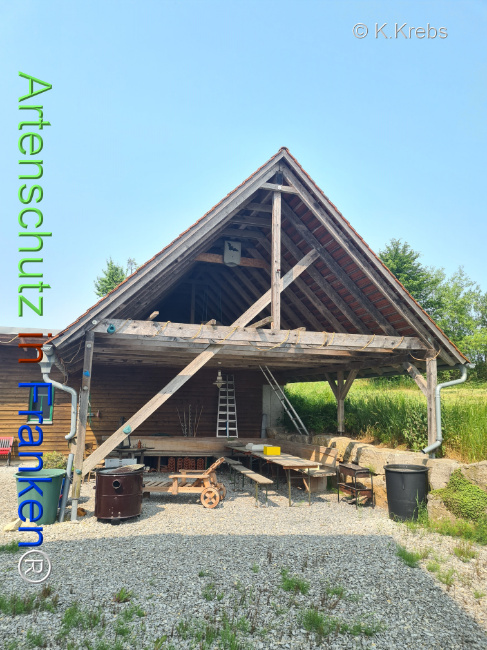 Bild zum Eintrag (1124629-160)