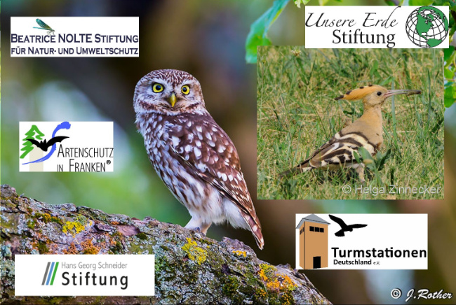 Bild zum Eintrag (1124721-160)