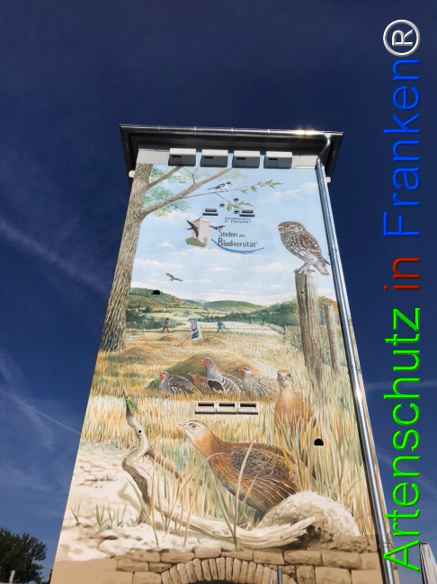 © Artenschutz in Franken® Bild zum Eintrag (1124858-160)