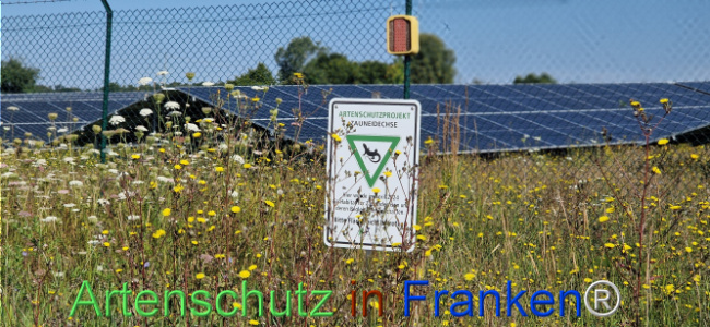 © Artenschutz in Franken® Bild zum Eintrag (1124990-160)