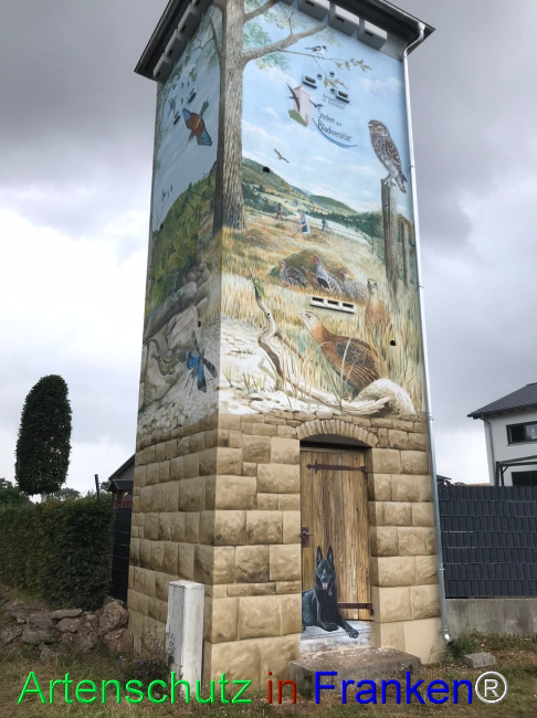© Artenschutz in Franken® Bild zum Eintrag (1125010-160)