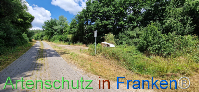 © Artenschutz in Franken® Bild zum Eintrag (1125037-160)