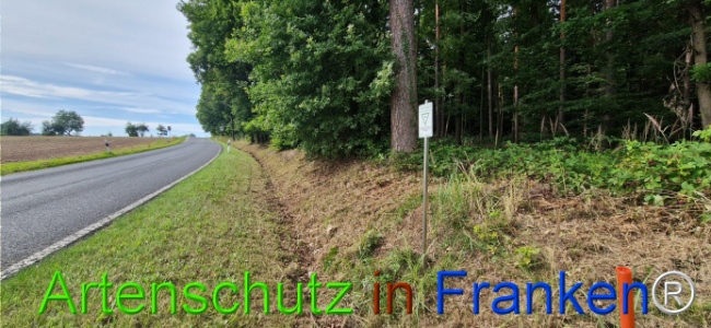 © Artenschutz in Franken® Bild zum Eintrag (1125356-160)
