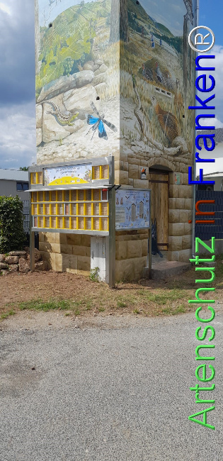© Artenschutz in Franken® Bild zum Eintrag (1125417-160)