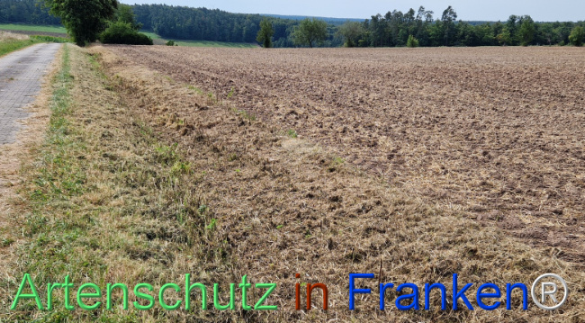 © Artenschutz in Franken® Bild zum Eintrag (1125898-160)