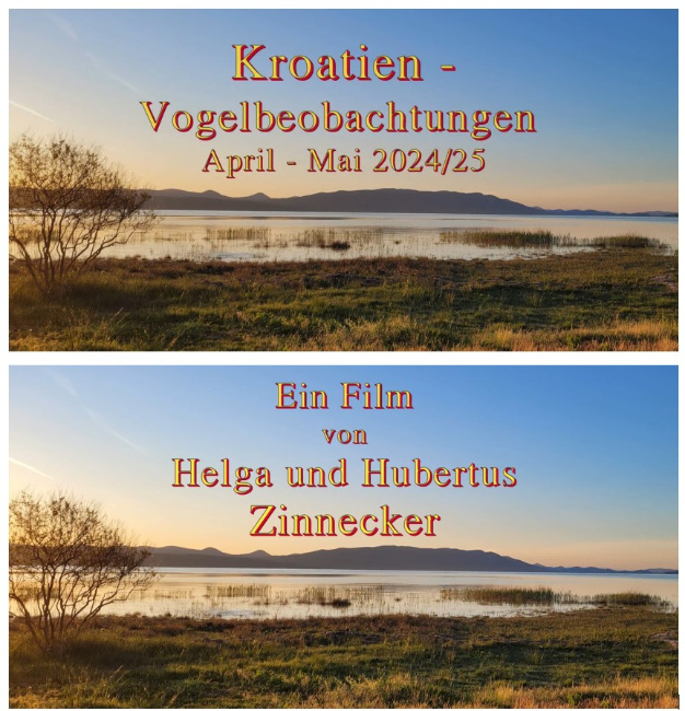© Artenschutz in Franken® / Helga Zinnecker Bild zum Eintrag (1126945-160)