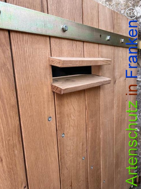 © Artenschutz in Franken® Bild zum Eintrag (1127070-160)