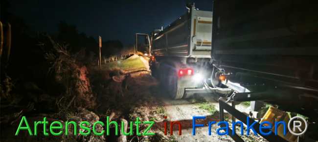 © Artenschutz in Franken® Bild zum Eintrag (1127371-160)