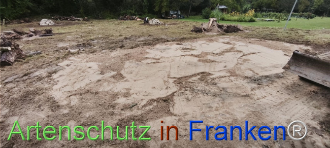 © Artenschutz in Franken® Bild zum Eintrag (1127477-160)