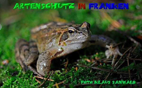 Bild zum Eintrag (1128758-160)