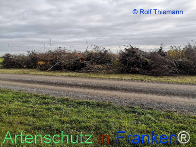 Bild zum Eintrag (1128799-160)