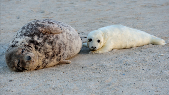 Bild zum Eintrag (1128897-160)