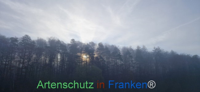 Bild zum Eintrag (1129285-160)