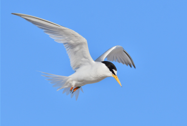 Bild zum Eintrag (1129516-160)