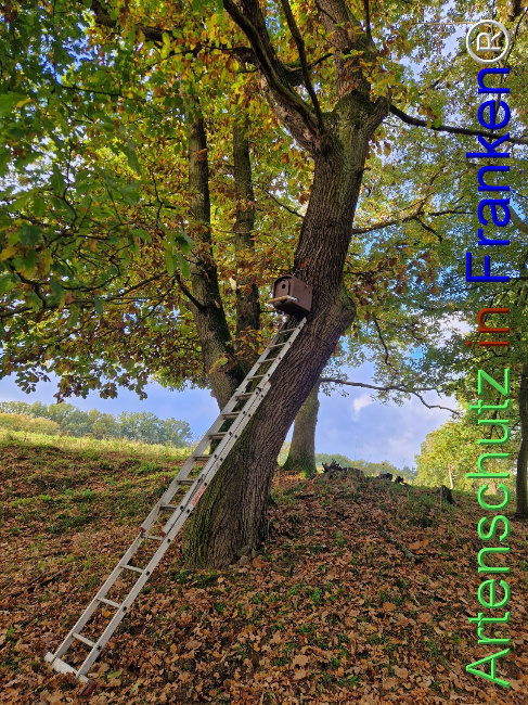 Bild zum Eintrag (1129587-160)