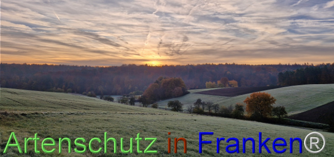 Bild zum Eintrag (1129633-160)