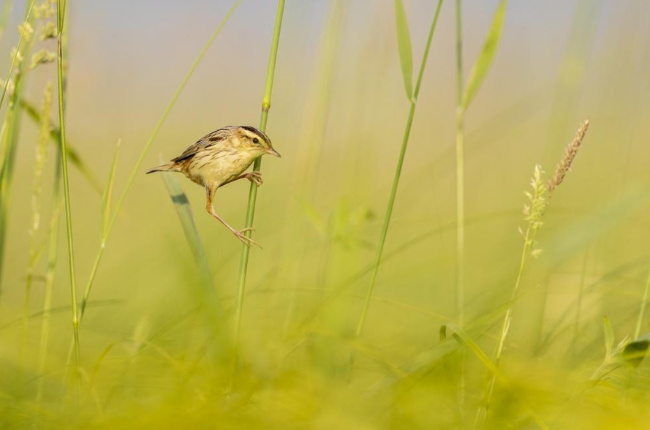 Bild zum Eintrag (1129949-160)