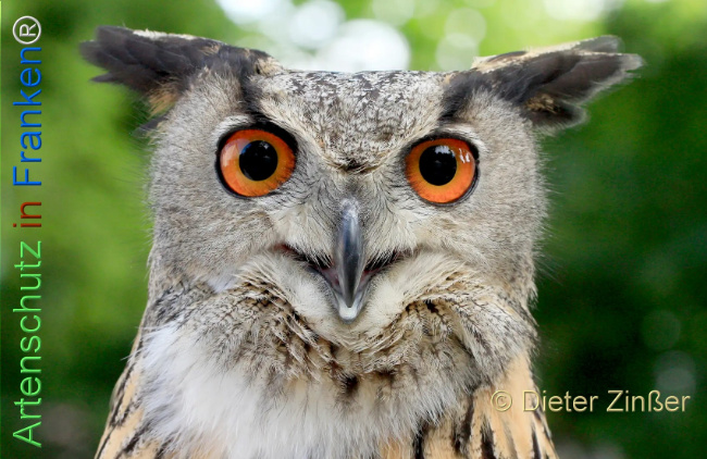 Bild zum Eintrag (1130604-160)