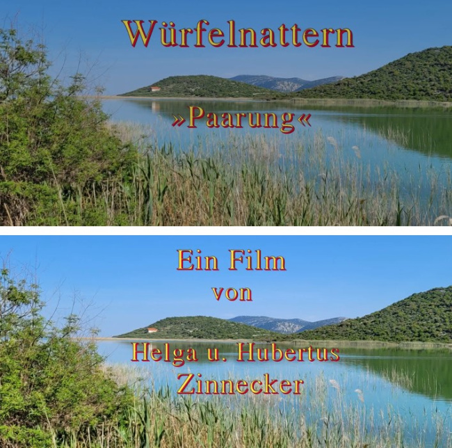 Bild zum Eintrag (1131002-160)