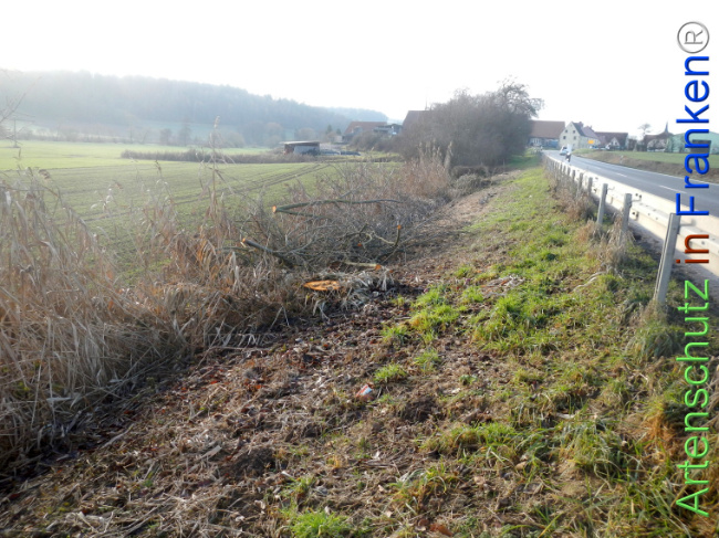 Bild zum Eintrag (1131452-160)