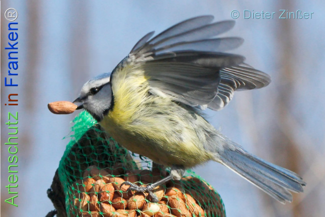 Bild zum Eintrag (1131752-160)