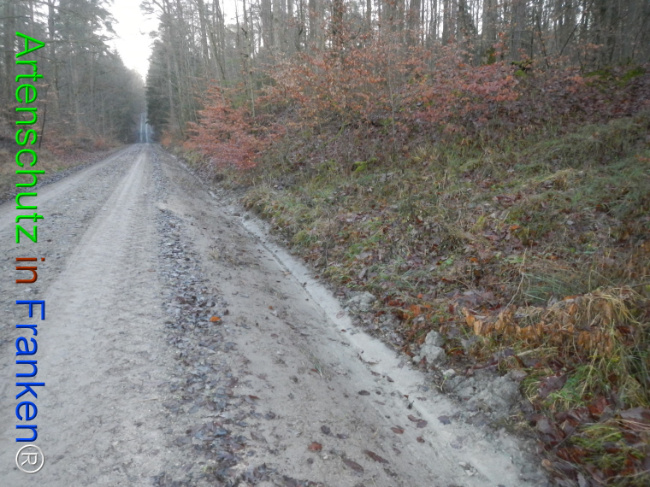 Bild zum Eintrag (1132104-160)