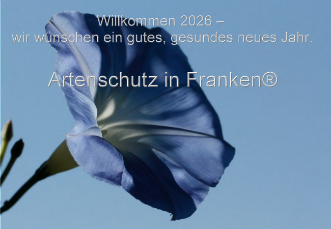 Bild zum Eintrag (1132667-160)