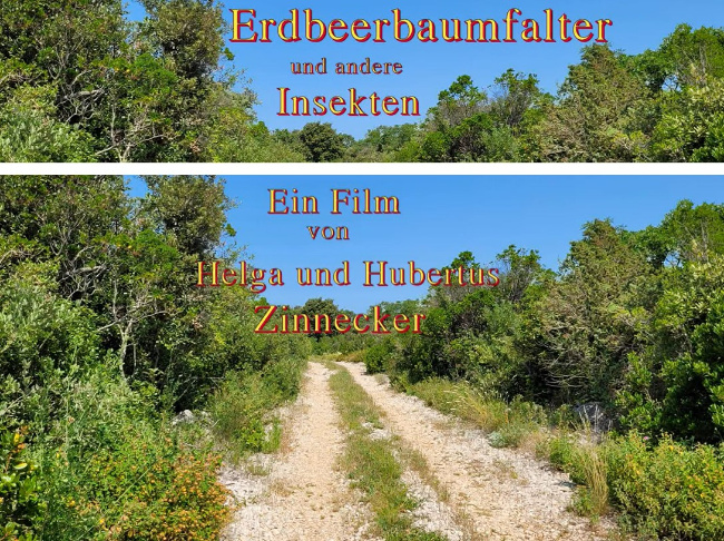 Bild zum Eintrag (1132835-160)