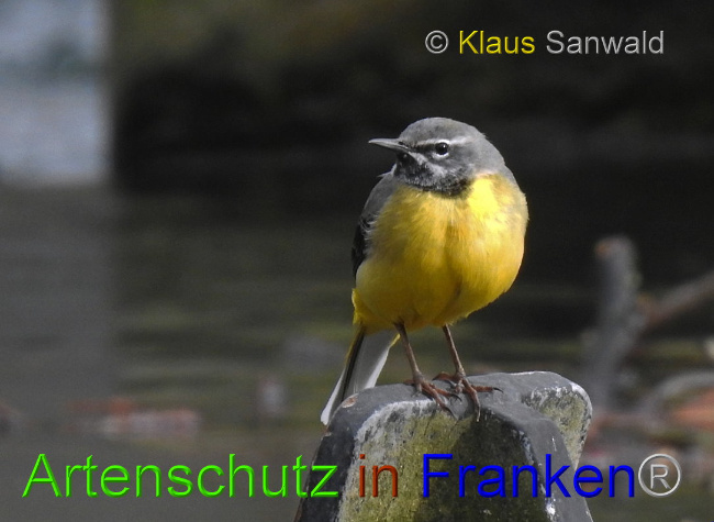 Bild zum Eintrag (1132843-160)