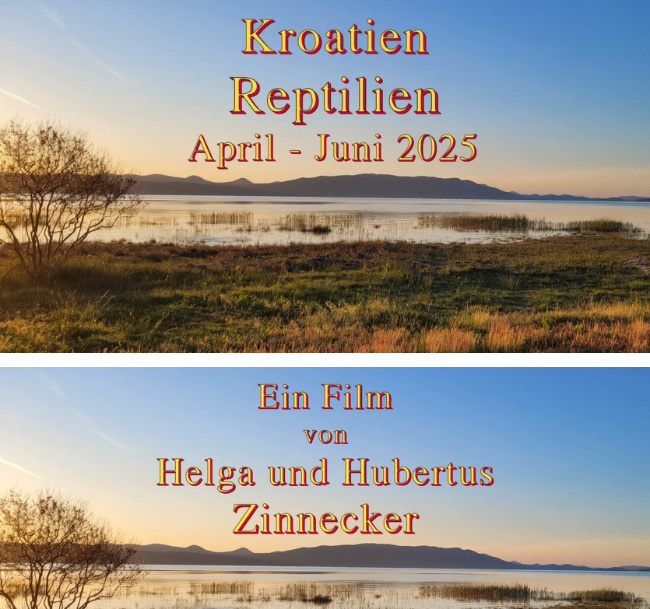 Bild zum Eintrag (1132972-160)