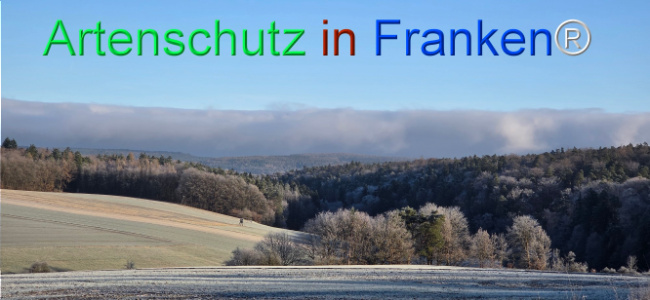 Bild zum Eintrag (1133043-160)