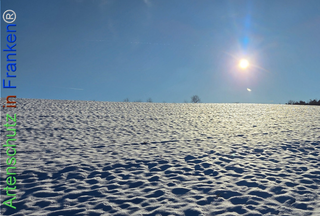 Bild zum Eintrag (1133382-160)