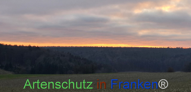 Bild zum Eintrag (1133508-160)