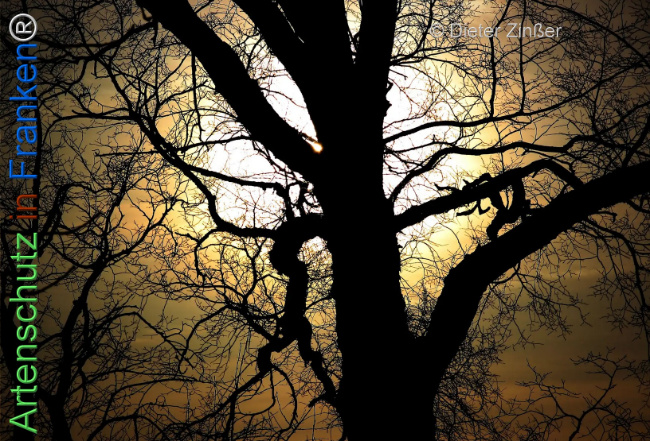 Bild zum Eintrag (1134180-160)