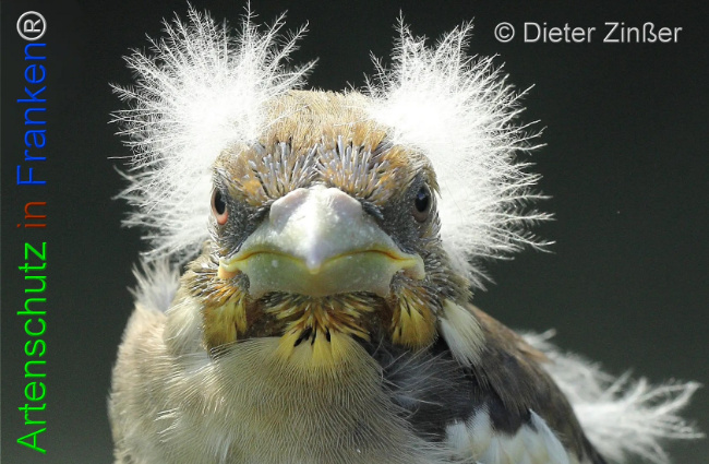 Bild zum Eintrag (1134429-160)