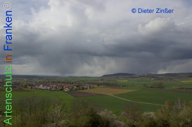 Bild zum Eintrag (1134574-160)