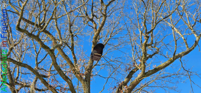 Bild zum Eintrag (1134630-160)