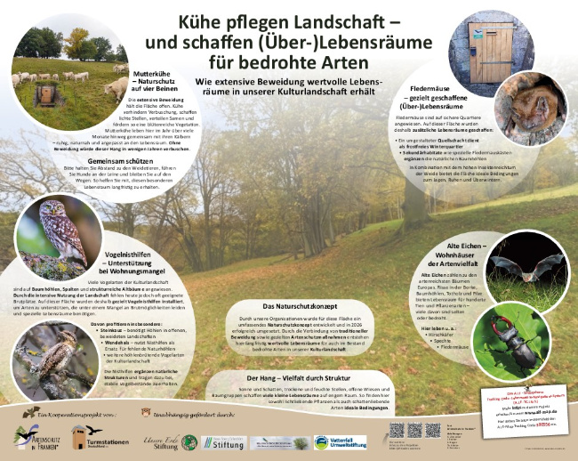 Bild zum Eintrag (1134738-160)