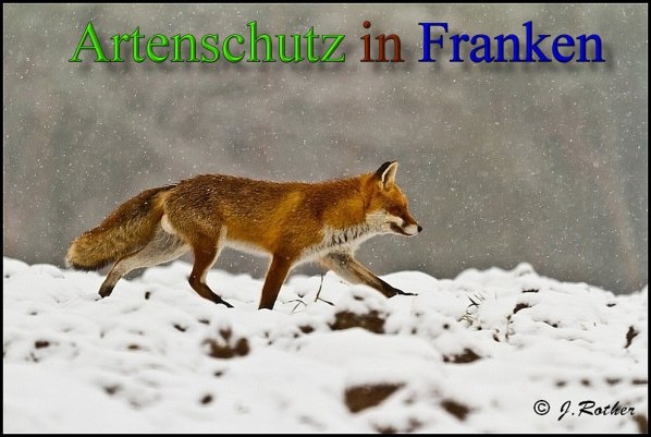 Bild zum Eintrag (1134997-160)