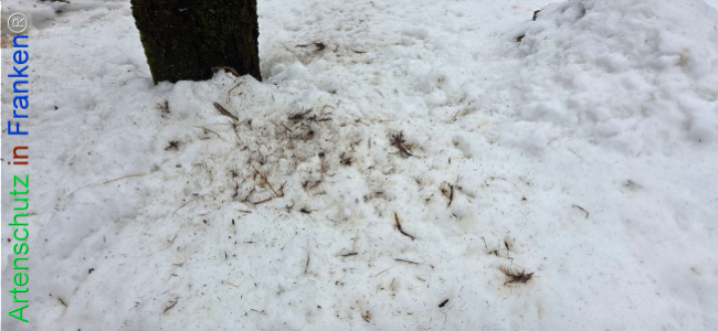 Bild zum Eintrag (1134998-160)