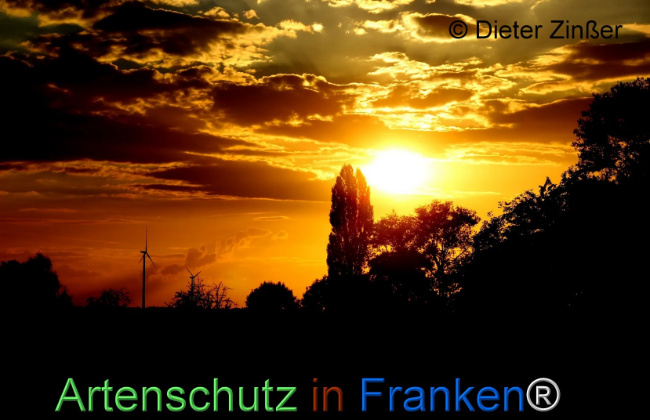 Bild zum Eintrag (1135418-160)