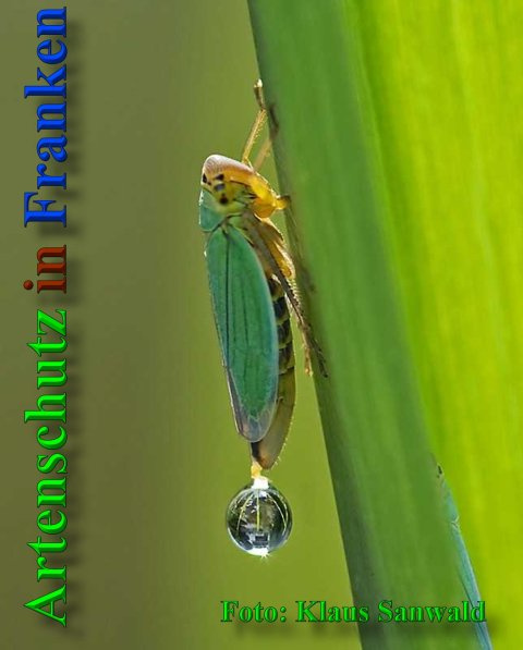 Bild zum Eintrag (1135688-160)