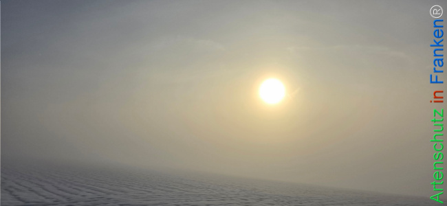 Bild zum Eintrag (1135887-160)