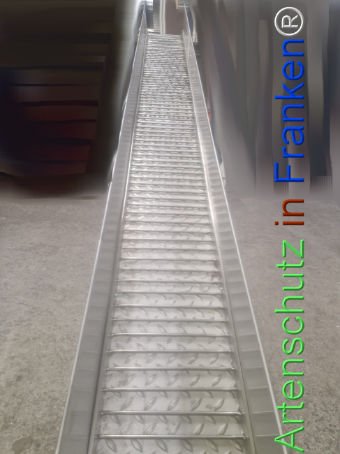 Bild zum Eintrag (1135965-160)