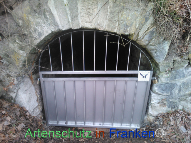 Bild zum Eintrag (1136342-160)