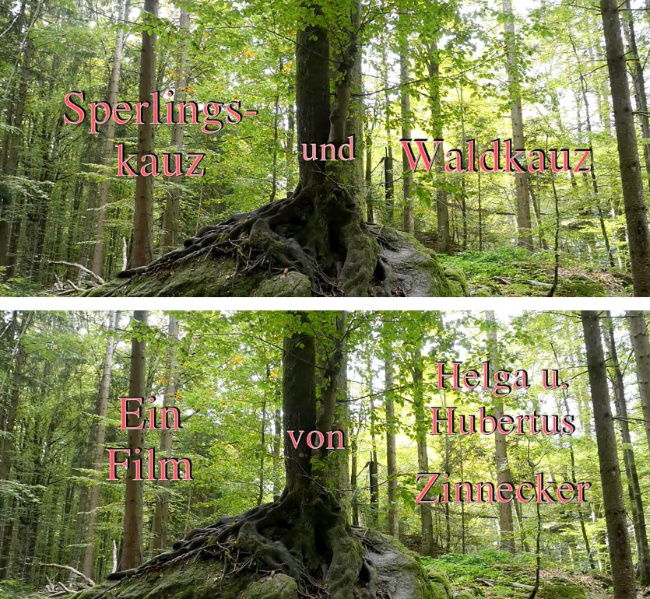 Bild zum Eintrag (1136687-160)