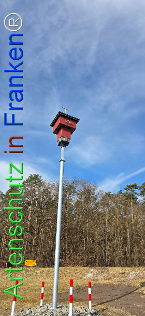 Bild zum Eintrag (1136967-160)