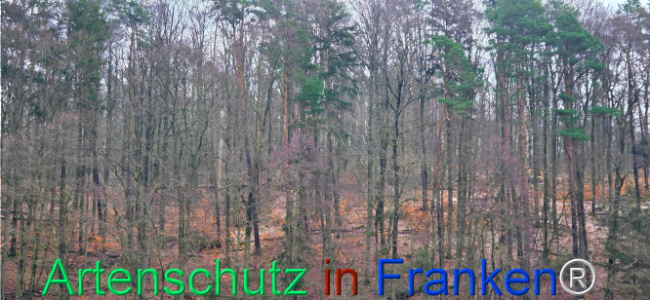 Bild zum Eintrag (1137043-160)